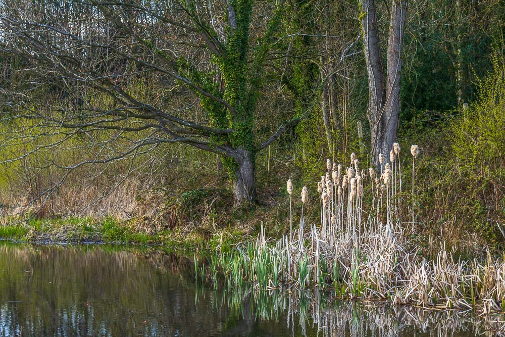Cromford Canal Cromford Canal